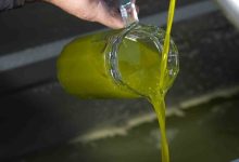 Türkiye’de satılan zeytinyağının yüzde 65’i ‘Ayvalık zeytinyağı’ adıyla piyasada 40 turkiyede satilan zeytinyaginin yuzde 65i ayvalik zeytinyagi adiyla piyasada 4191c35c45ed |