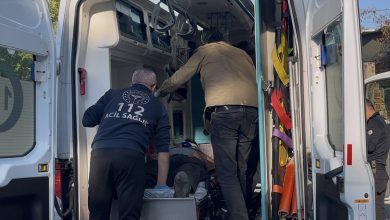 uludagda kestane kavgasi kana bulandi 3 kisi vuruldu 7b9416a81a0e |