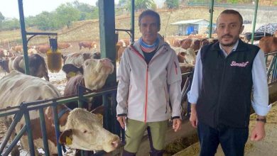 Yapay zeka süt hayvancılığında çığır açtı 4 yapay zeka sut hayvanciliginda cigir acti b6cbaf5b0c77 |