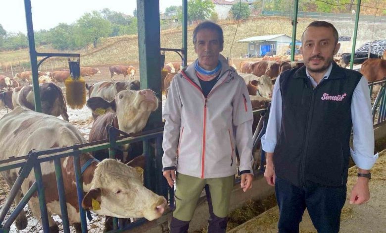 Yapay zeka süt hayvancılığında çığır açtı 1 yapay zeka sut hayvanciliginda cigir acti b6cbaf5b0c77 |