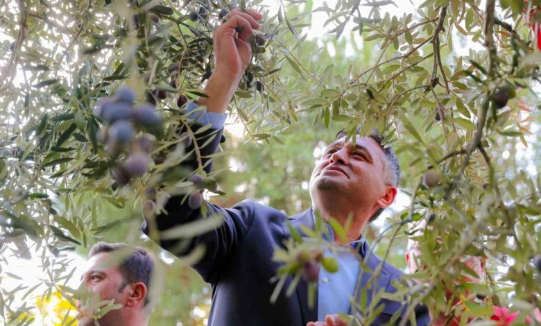 ’Zeytinin Yolculuğu’ Aliağa’da şenlikle kutlandı 1 zeytinin yolculugu aliagada senlikle kutlandi f02315547c83 |