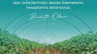 Zirai dondan etkilenen çiftçilere 13 milyar 221 milyon lira destek ödemesi yapılacak 6 zirai dondan etkilenen ciftcilere 13 milyar 221 milyon lira destek odemesi yapilacak 36ebd7204ca1 |