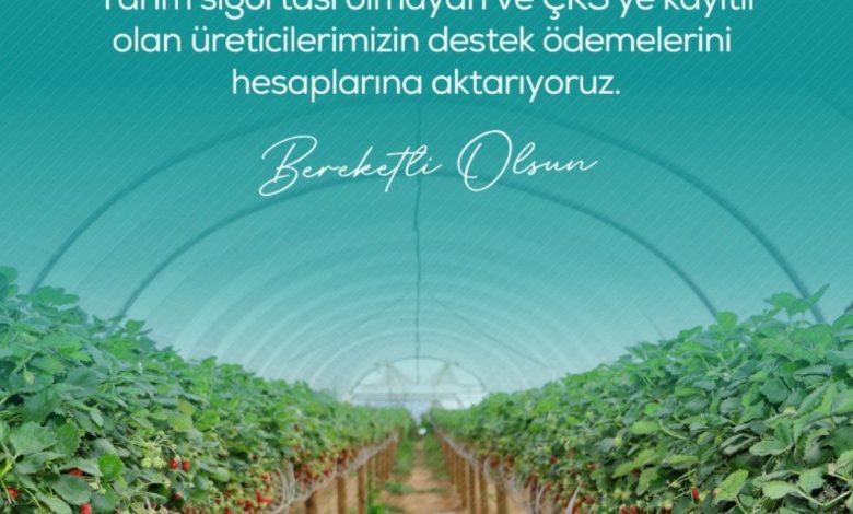 Zirai dondan etkilenen çiftçilere 13 milyar 221 milyon lira destek ödemesi yapılacak 1 zirai dondan etkilenen ciftcilere 13 milyar 221 milyon lira destek odemesi yapilacak 36ebd7204ca1 |