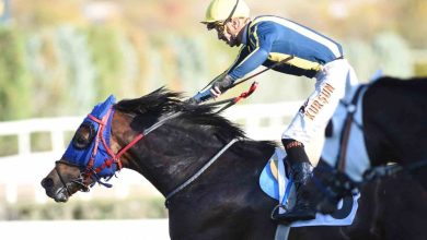 45 cumhuriyet kosusu ile 87 cumhurbaskanligi kosusu yapildi 35d470dab297 |