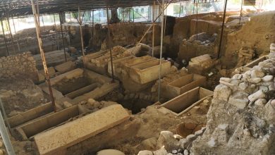 IMG 20251127 WA0071 |