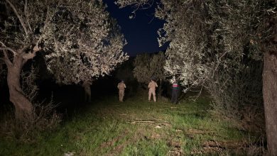 Edremit'in Zeytinleri Komandolara Emanet 2 WhatsApp Gorsel 2025 11 07 saat 09.42.32 d0915665 |