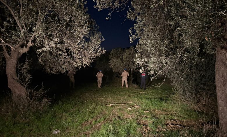 Edremit'in Zeytinleri Komandolara Emanet 1 WhatsApp Gorsel 2025 11 07 saat 09.42.32 d0915665 |