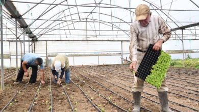 WhatsApp Gorsel 2025 11 11 saat 16.06.36 de00f0b2 |