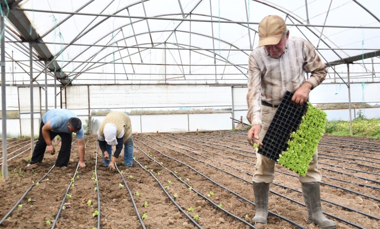 WhatsApp Gorsel 2025 11 11 saat 16.06.36 de00f0b2 |