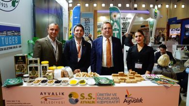 WhatsApp Gorsel 2025 11 24 saat 12.43.15 b7286783 |