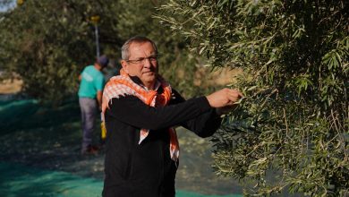 WhatsApp Gorsel 2025 11 26 saat 09.05.02 08629704 |