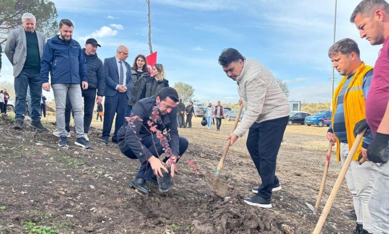 Ağaçlandırma günü etkinliği Havran’da gerçekleştirildi 1 agaclandirma gunu etkinligi havranda gerceklestirildi 7472dc9f6edb |