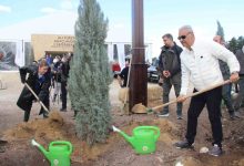 alj turkiye izmirde 312 bin fidani toprakla bulusturdu 105225074889 |