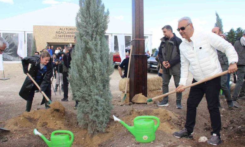 ALJ Türkiye, İzmir’de 312 bin fidanı toprakla buluşturdu 1 alj turkiye izmirde 312 bin fidani toprakla bulusturdu 105225074889 |