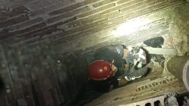 Apartman boşluğunda mahsur kalan yavru kediyi itfaiye kurtardı 3 apartman boslugunda mahsur kalan yavru kediyi itfaiye kurtardi 26351aca88d2 |