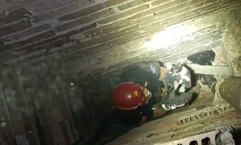 Apartman boşluğunda mahsur kalan yavru kediyi itfaiye kurtardı 1 apartman boslugunda mahsur kalan yavru kediyi itfaiye kurtardi 26351aca88d2 |