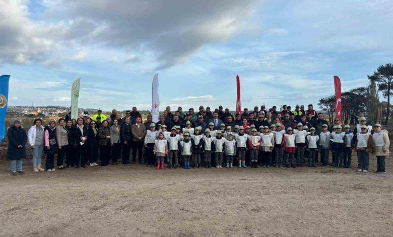 Ayvacık’ta 1500 Fıstık Çamı Fidanı Toprakla Buluşturuldu 1 ayvacikta 1500 fistik cami fidani toprakla bulusturuldu e865c300be59 |