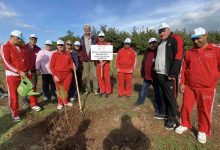 ayvalikta ertelenen fidan dikim etkinligine ilgi yogun oldu 2c6c40ebc67a |