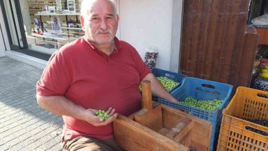 Balıkesir’de kırma zeytinlerin hazırlanmasına başlandı 7 balikesirde kirma zeytinlerin hazirlanmasina baslandi 0bb6accd4a42 |