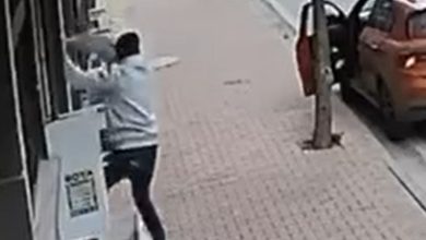 balkona tirmanip cins kediyi caldi d28629e261b4 |