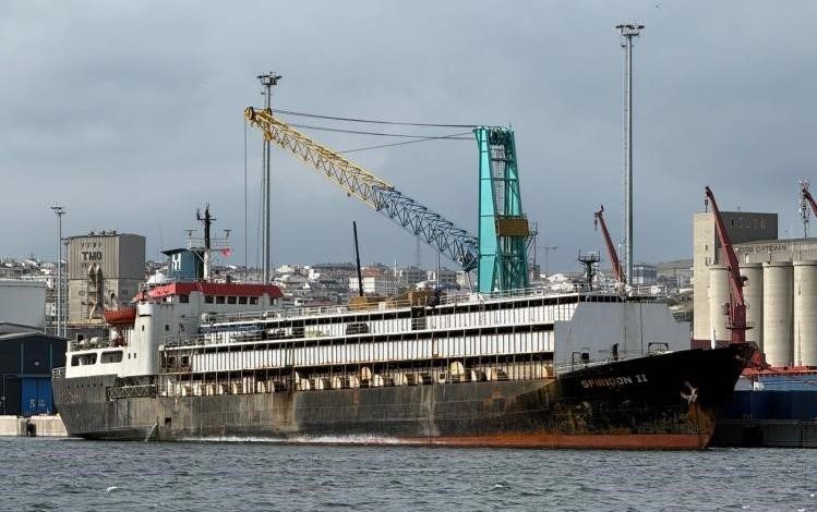 Bandırma’daki hayvan ithalatı tartışması yargıya taşındı 1 bandirmadaki hayvan ithalati tartismasi yargiya tasindi 15988da36a57 |