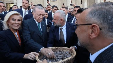 Başkan Pehlivan’dan Cumhurbaşkanı Erdoğan’a incir ikramı 3 baskan pehlivandan cumhurbaskani erdogana incir ikrami c8c7fb383066 |