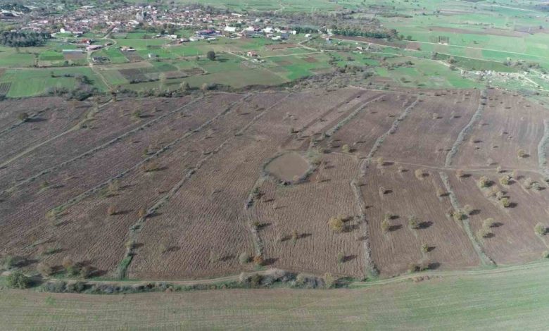 bigada proje cercevesinde 2 yilda 845 dekar mera alani islah edildi 5c4049afdf70 |