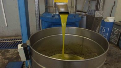 Burhaniye’de zeytinde rekolte düşük, ancak yağda kalite yüksek 2 burhaniyede zeytinde rekolte dusuk ancak yagda kalite yuksek 56fec5877a51 |