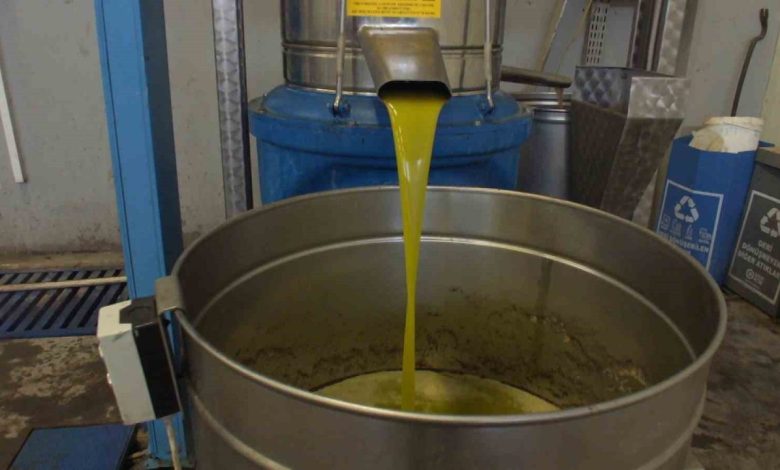 Burhaniye’de zeytinde rekolte düşük, ancak yağda kalite yüksek 1 burhaniyede zeytinde rekolte dusuk ancak yagda kalite yuksek 56fec5877a51 |