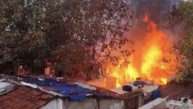 Bursa’da müstakil evin bahçesinde çıkan yangın korkuttu 3 bursada mustakil evin bahcesinde cikan yangin korkuttu 158340bc6359 |