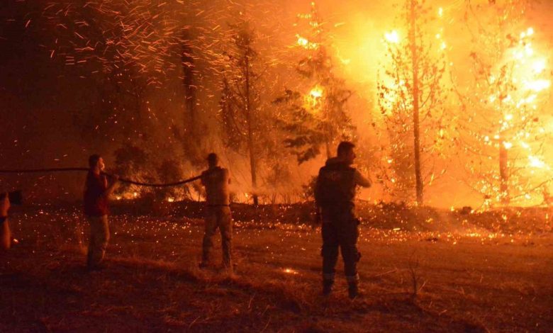 canakkalede 2025 yilinda 11 bin 868 futbol sahasi buyuklugunde orman alani zarar gordu 66e590c300bd |