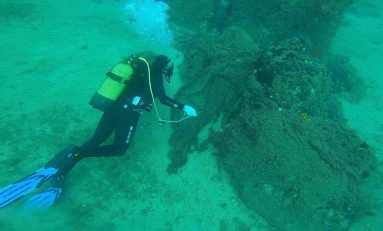 Çanakkale’de 9 yılda denizden 34 bin 620 metrekarelik hayalet ağ çıkarıldı 1 canakkalede 9 yilda denizden 34 bin 620 metrekarelik hayalet ag cikarildi 62f20bea8f44 |