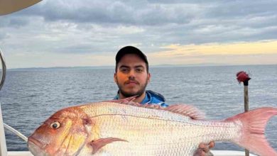 canakkalede balikcilar 12 kilogramlik mercan baligi yakaladi d8de69b67d34 |