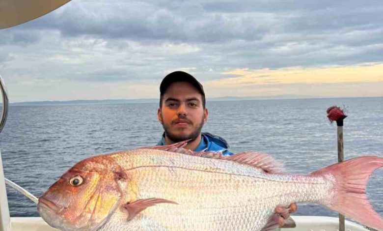 canakkalede balikcilar 12 kilogramlik mercan baligi yakaladi d8de69b67d34 |