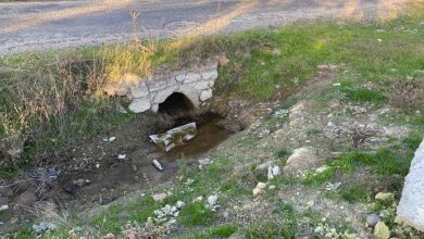 canakkalede bos arazide bebek cesedi bulundu 918fb747d1ae |