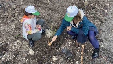 canakkalede milli agaclandirma gunu cercevesinde fidanlar toprakla bulustu 1971ce65dc4b |