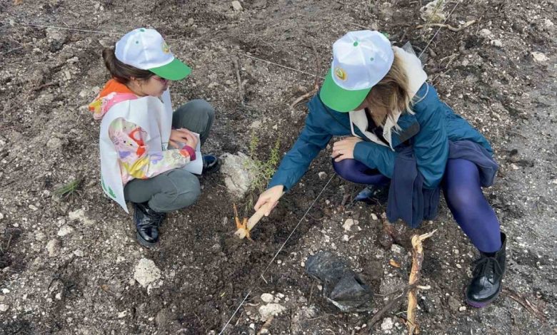 Çanakkale’de Milli Ağaçlandırma Günü çerçevesinde fidanlar toprakla buluştu 1 canakkalede milli agaclandirma gunu cercevesinde fidanlar toprakla bulustu 1971ce65dc4b |