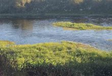 canbolu deresinde aci oyun 10 yasindaki hizir ali hayatini kaybetti b75cd0e335b7 |