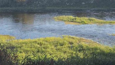 canbolu deresinde aci oyun 10 yasindaki hizir ali hayatini kaybetti b75cd0e335b7 |