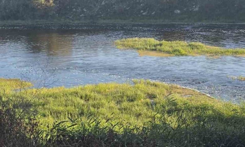 Canbolu Deresi’nde acı oyun: 10 yaşındaki Hızır Ali hayatını kaybetti 1 canbolu deresinde aci oyun 10 yasindaki hizir ali hayatini kaybetti b75cd0e335b7 |