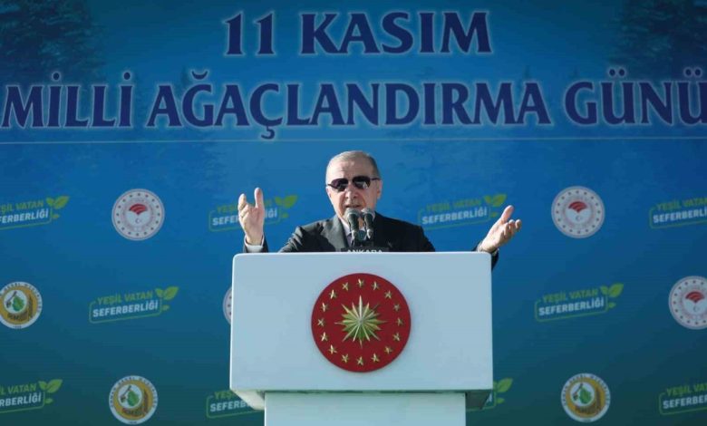 Cumhurbaşkanı Erdoğan: "Son 23 yılda 7 buçuk milyar fidan ve tohumu toprakla buluşturduk" 1 cumhurbaskani erdogan son 23 yilda 7 bucuk milyar fidan ve tohumu toprakla bulusturduk 2e1fd4abec12 |