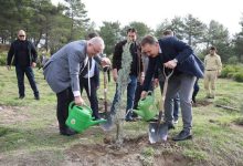 edremitte fidanlar toprakla bulustu e5d9b8e2ea66 |