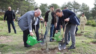 edremitte fidanlar toprakla bulustu e5d9b8e2ea66 |