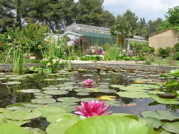 ege universitesinin endemik tur cenneti botanik bahcesi d0f1013701ee |