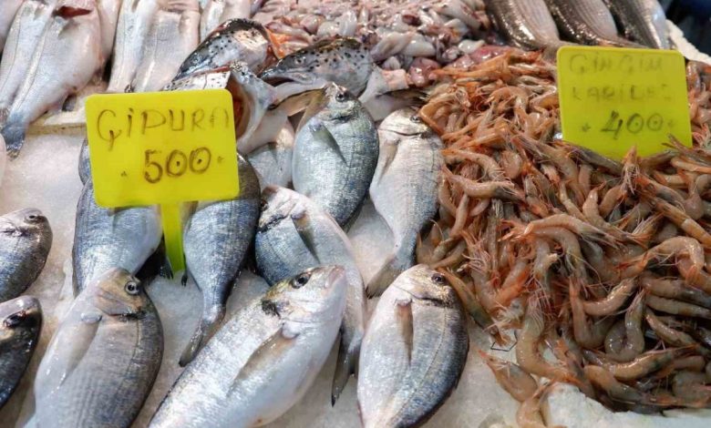 foca balik halinde kis sezonusardalya ve uskumru zamani 5eefd6683296 |