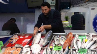 hamsi denizlerde yuzunu gosterdi tezgahlarda fiyatini korudu 70d44ac16af7 |