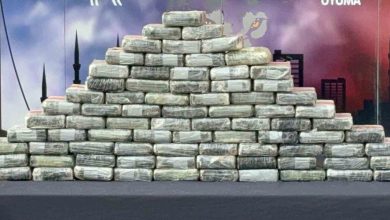 istanbulda narkotik operasyonu 494 kilogram uyusturucu madde ele gecirildi d596602f4ebc |