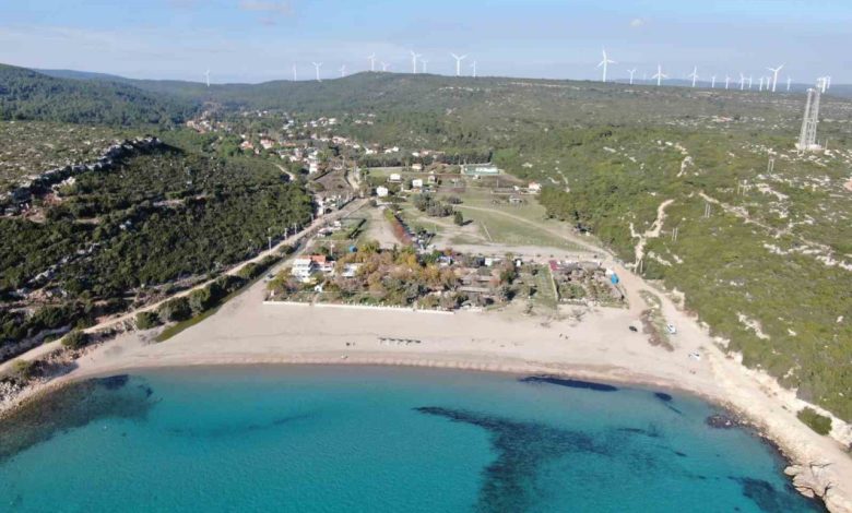 izmirde kusaklar asan tapu mucadelesi e70d5377c36f |