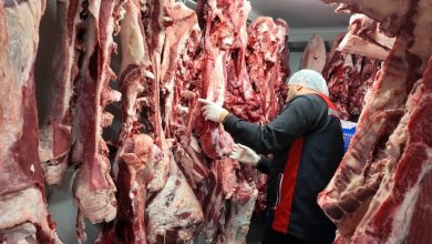 Kadıköy’de gıda ve hijyen denetimleri artırıldı: Kurallara uymayan işletmelere 15 günlük süre 6 kadikoyde gida ve hijyen denetimleri artirildi kurallara uymayan isletmelere 15 gunluk sure d645359d02f6 |