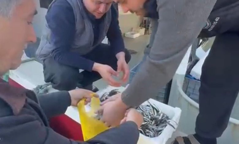 kasasini 200 liraya alip tezgahta kilosunu 200 liraya satan esnaf balikcilar tarafindan protesto edildi 007ad7cca276 |